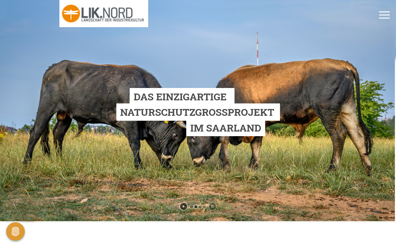 LIK.Nord – Desktop-Ansicht